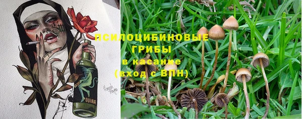 герыч Алексеевка